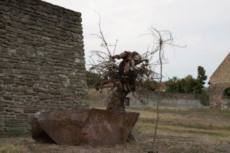 Kecske-sárkány/ Goat-dragon (talált fatönkök/ found stumps)