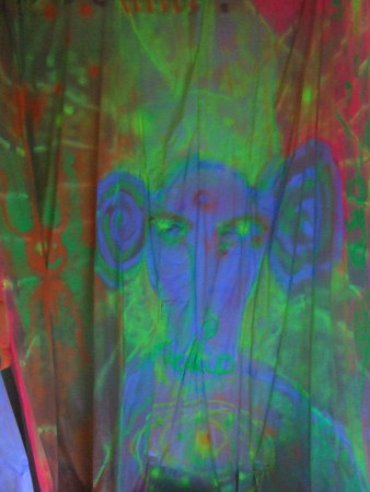 Faun